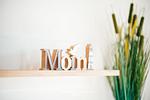 Dekoratives Detail - Meerluft - Top-Hundeurlaub