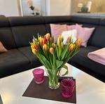 Ferienwohnung Strand - Top-Hundeurlaub