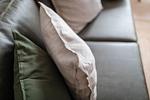 Dekoratives Detail - B13 - Top-Hundeurlaub