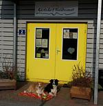 Gästedorf Waldheimat - Top-Hundeurlaub