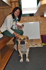 Gästedorf Waldheimat - Top-Hundeurlaub