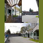 Gästedorf Waldheimat - Top-Hundeurlaub