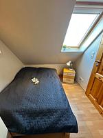 Leuchtturm - Top-Hundeurlaub