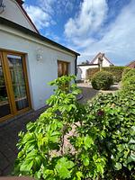 Leuchtturm - Top-Hundeurlaub