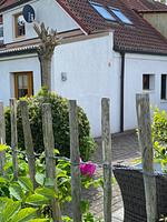 Leuchtturm - Top-Hundeurlaub