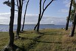 Fewo 06 "Mantelmöwe"mit Blick auf Salzhaff und Ostsee - Top-Hundeurlaub