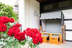 Dekoratives Detail - App.148 - Strandlage - Top-Hundeurlaub