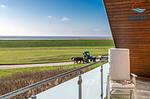 Landschaft - 108 - Wohnung Meeresrauschen - Top-Hundeurlaub
