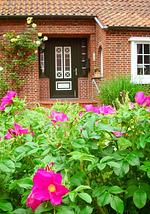 Ferienwohnung Veras Kate - Top-Hundeurlaub