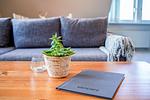 Wohnzimmer - Sylt Homes Auster 3 - Top-Hundeurlaub