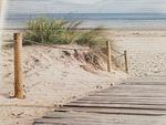 Fewo Berg - Top-Hundeurlaub