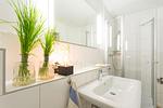 Herthaquelle Wohnung 3 "Die Rose" - Top-Hundeurlaub