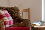 Herthaquelle Wohnung 3 "Die Rose" - Top-Hundeurlaub