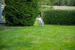 Garten - Ferienhaus Captains Lodge Steinbergkirche - Top-Hundeurlaub