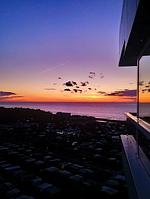 Meerblick - FeWo 15.03 - Top-Hundeurlaub