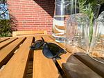 Terrasse - FeWo Nordstern - Schillig - Top-Hundeurlaub