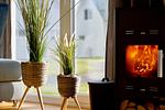 Kamin-/Ofen - Ferienhaus Skipper Galerie Olpenitz - Top-Hundeurlaub