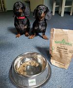 Abbazia Country Club Superior - Top-Hundeurlaub