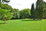 Garten - Jagdschloß zu Hohen Niendorf Fewo 6 - Top-Hundeurlaub