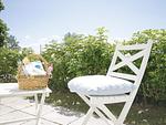 Terrasse - Jagdschloß zu Hohen Niendorf Fewo 1 - ELEONORE - Top-Hundeurlaub
