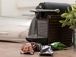 Ferienwohnung Meeresmelodie - Top-Hundeurlaub