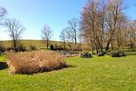 Gartenblick - Gutshof Dornbusch Fewo 1 - AM BRUNNEN - Top-Hundeurlaub