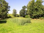 Garten - Gutshof Dornbusch Fewo 1 - AM BRUNNEN - Top-Hundeurlaub