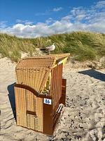Haus Waderkierl, App. 26 - Top-Hundeurlaub