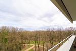 Meerblick - Küstenzauber - Top-Hundeurlaub