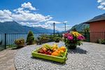 Terrasse - Caninett - Top-Hundeurlaub