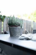 Boutique Apartment #3 - Top-Hundeurlaub