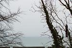 Meerblick - Residenz am Yachthafen "Wohnung 18" - Top-Hundeurlaub