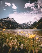 Zum Ritter - Top-Hundeurlaub