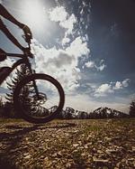 Zum Ritter - Top-Hundeurlaub