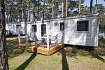 Hauptansicht - Haus814: strandnah, Terrasse - Top-Hundeurlaub