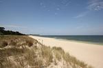 Strand - Haus814: strandnah, Terrasse - Top-Hundeurlaub
