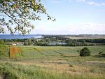Landschaft - Haus814: strandnah, Terrasse - Top-Hundeurlaub