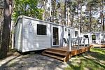 Hauptansicht - Haus820: strandnah, Terrasse - Top-Hundeurlaub