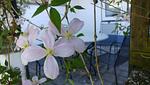 Terrasse - Ferienwohnung Kleine Auszeit Nr. 2 - Top-Hundeurlaub