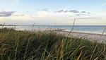 Strand - Ferienwohnung Kleine Auszeit Nr. 2 - Top-Hundeurlaub