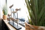 Dekoratives Detail - App.388 - Strandlage - Top-Hundeurlaub