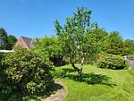 Diek 21 Noord - Top-Hundeurlaub
