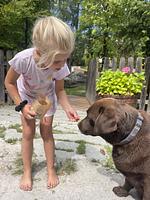 Das Dorf in der Stadt - Chalet Bergknappe - Top-Hundeurlaub