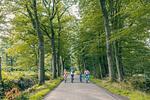 EuroParcs De Utrechtse Heuvelrug - Top-Hundeurlaub