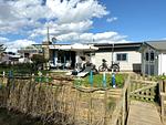 Nachbarschaft - Ferienhaus DEICHBLICK - Top-Hundeurlaub