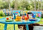 Gartenblick - Ferienhaus DEICHBLICK - Top-Hundeurlaub