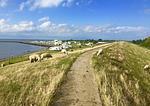 Landschaft - Ferienhaus DEICHBLICK - Top-Hundeurlaub