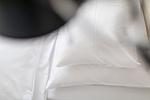 Dekoratives Detail - EINS - Top-Hundeurlaub
