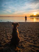 EuroParcs Poort van Amsterdam - Top-Hundeurlaub