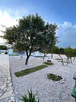 Gartenblick - Luxury by Villa Korina - Top-Hundeurlaub